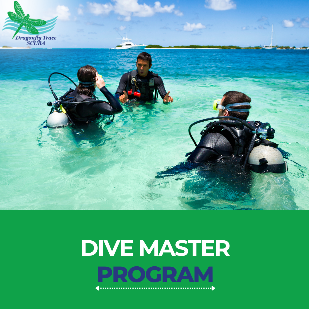 Dive Master Program