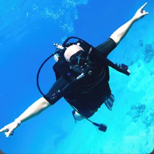 Open Water Diver-Tampa