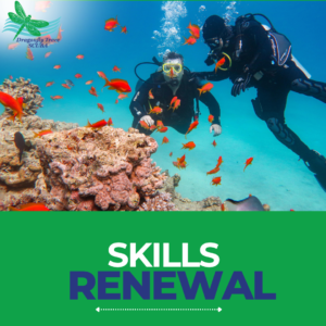 Skills Renewal Course